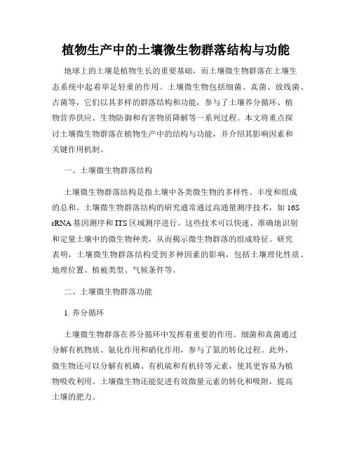 植物生产中的土壤微生物群落结构与功能