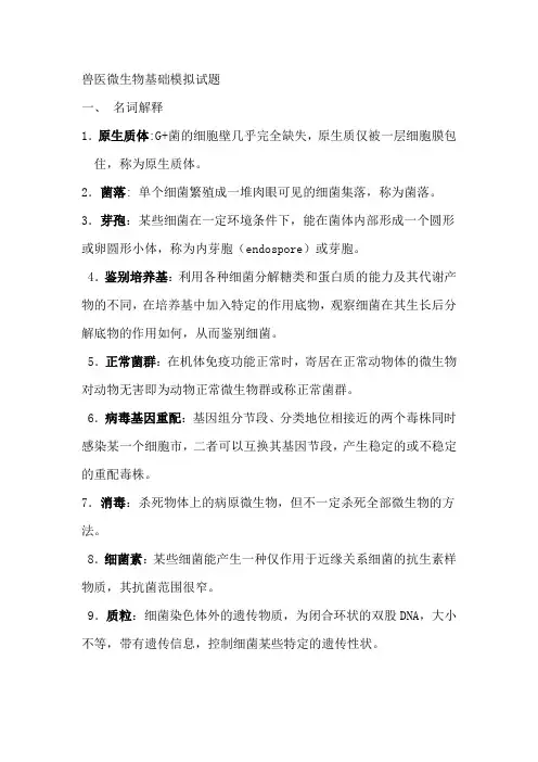 兽医微生物基础模拟试题