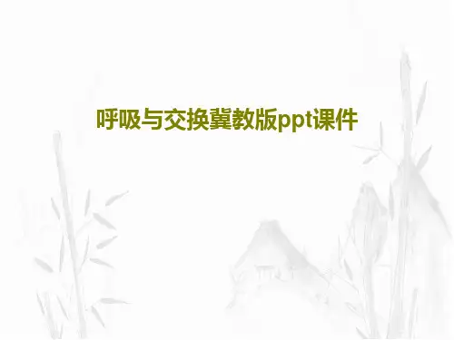 呼吸与交换冀教版ppt课件共18页
