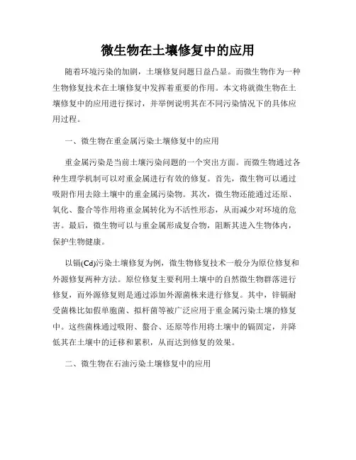 微生物在土壤修复中的应用