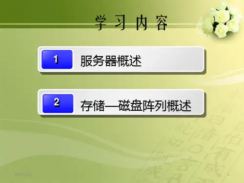 服务器与磁盘阵列简要介绍PPT课件