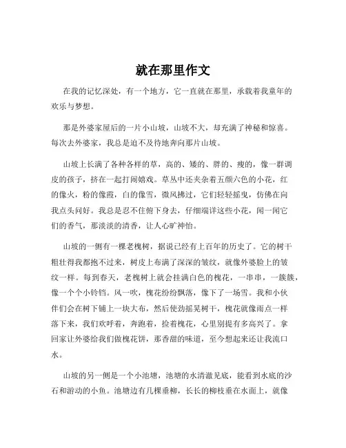 就在那里作文