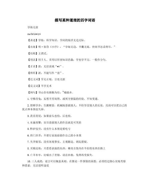 描写某种道理的四字词语