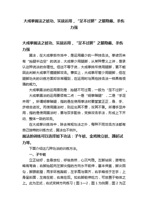 大成拳踢法之桩功、实战运用，“足不过脐”之腿隐蔽、杀伤力强