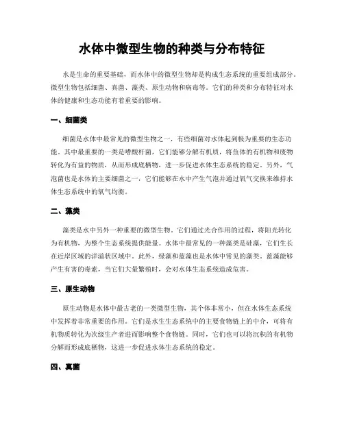 水体中微型生物的种类与分布特征