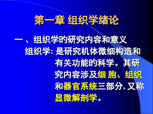 章组织学绪论