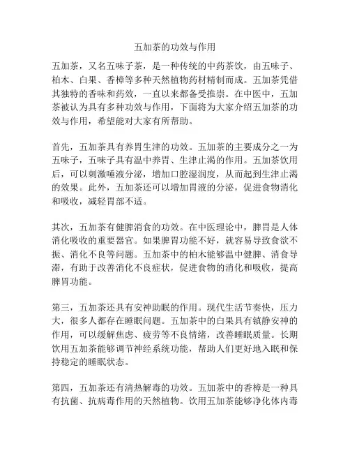 五加茶的功效与作用