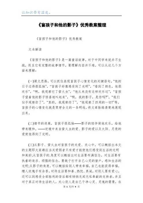 《盲孩子和他的影子》优秀教案整理