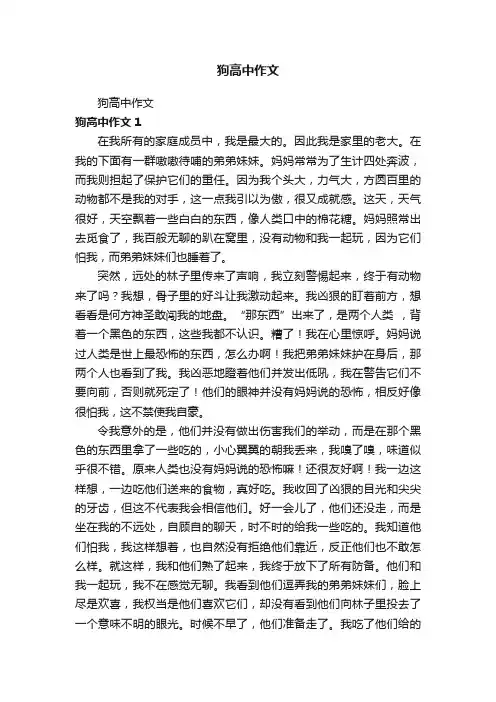 狗高中作文
