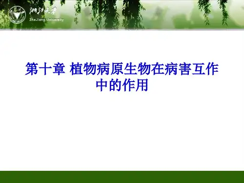 植物病理学 第10章 植物病原物的寄生性 图文