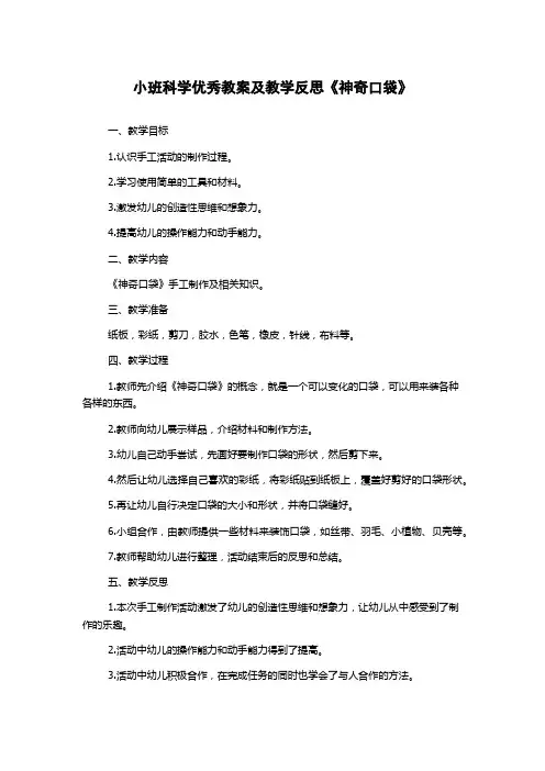 小班科学优秀教案及教学反思《神奇口袋》