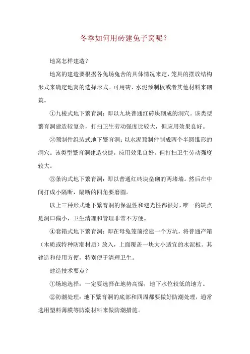冬季如何用砖建兔子窝呢？