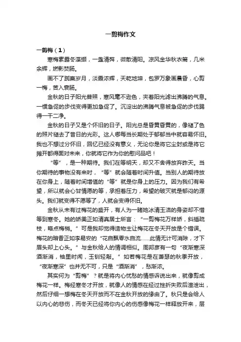 一剪梅作文