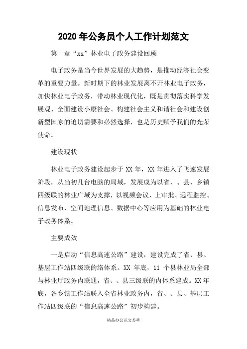 2020年公务员个人工作计划范文