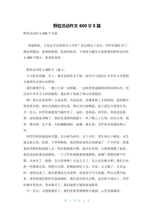 野炊活动作文600字5篇