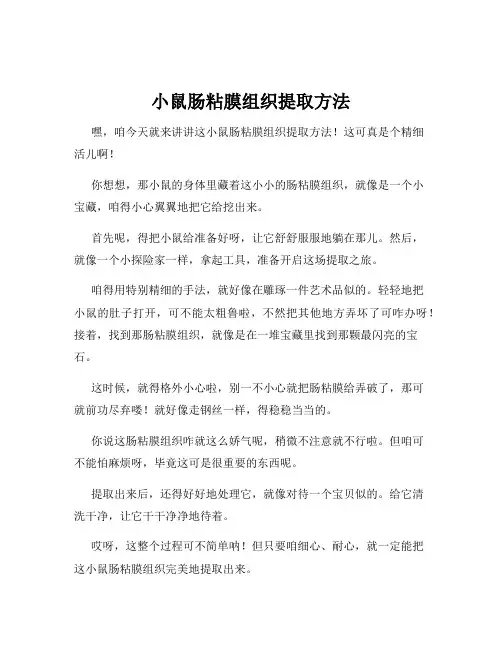 小鼠肠粘膜组织提取方法