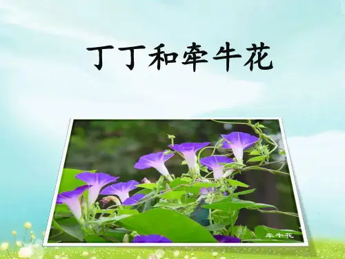 北师大版一年级下册语文《丁丁和牵牛花》优教课件(第二课时)