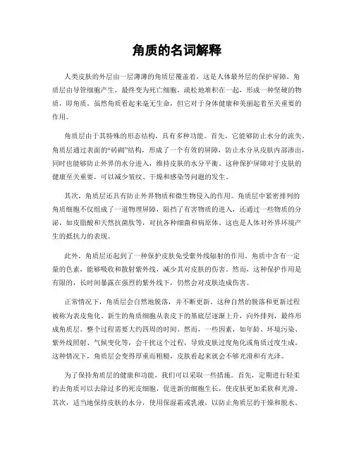 角质的名词解释
