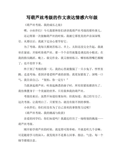 写葫芦丝考级的作文表达情感六年级