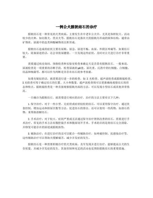 一例公犬膀胱结石的诊疗
