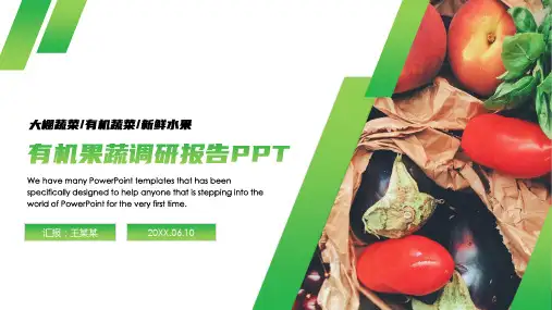 有机水果蔬菜果蔬调研报告ppt模板