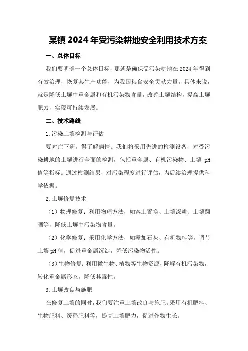 某镇2024年受污染耕地安全利用技术方案