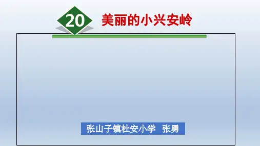 部编版 三年级语文上册 第六单元   第20课美丽的小兴安岭 课件(共26张ppt)