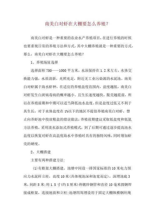 南美白对虾在大棚要怎么养殖？
