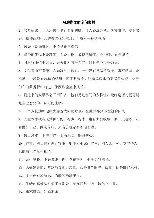 写进作文的金句素材