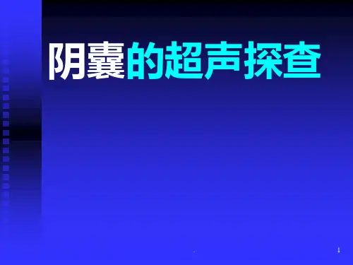 阴囊的超声检查
