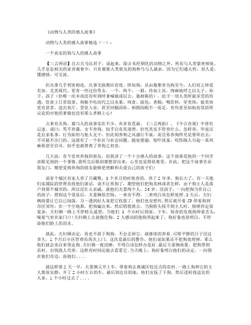 动物与人类的感人故事20个(精华版)