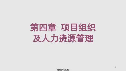 项目组织及人力资源管理PPT课件