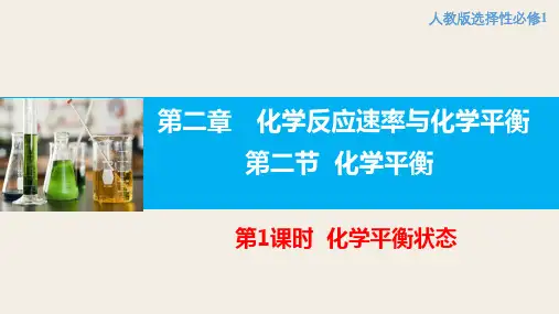 2.2.1 化学平衡状态  课件 高二上学期化学人教版(2019)选择性必修1