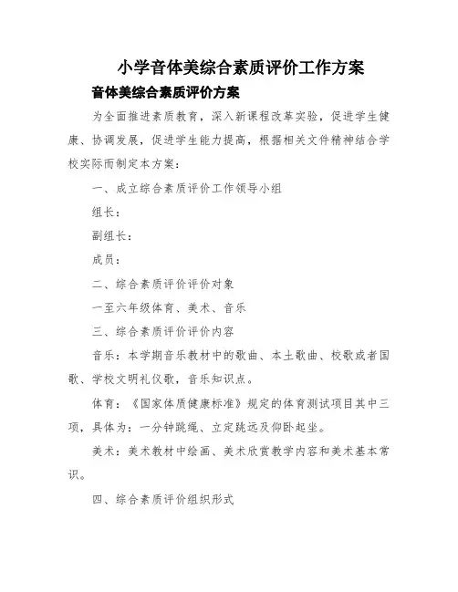 小学音体美综合素质评价工作方案