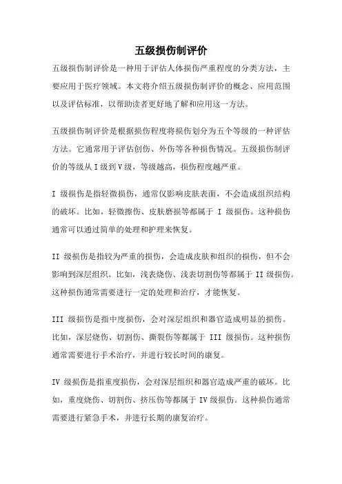 五级损伤制评价