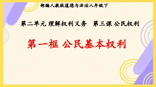 3.1 公民基本权利 课件(25张PPT)- 2023-2024学年统编版道德与法治八年级下册