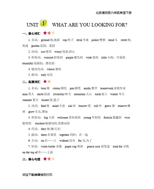 2020年北京课改版六年级英语下册第一单元Unit 1 What are you looking for知识清单