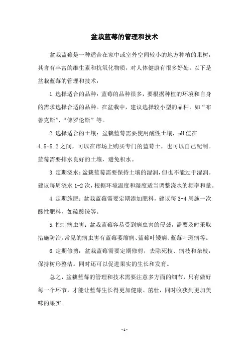 盆栽蓝莓的管理和技术