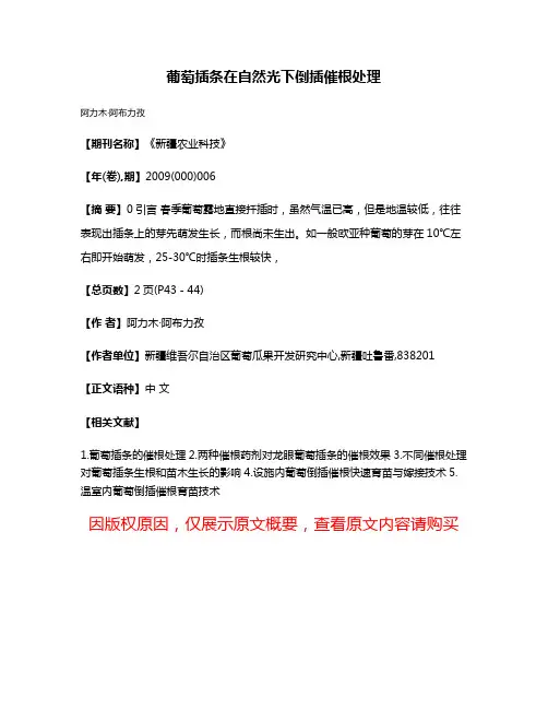 葡萄插条在自然光下倒插催根处理