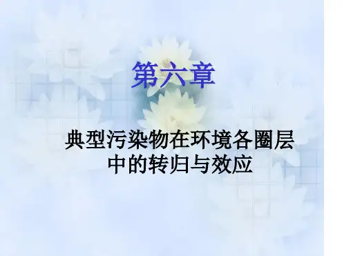 第六章 污染物转归