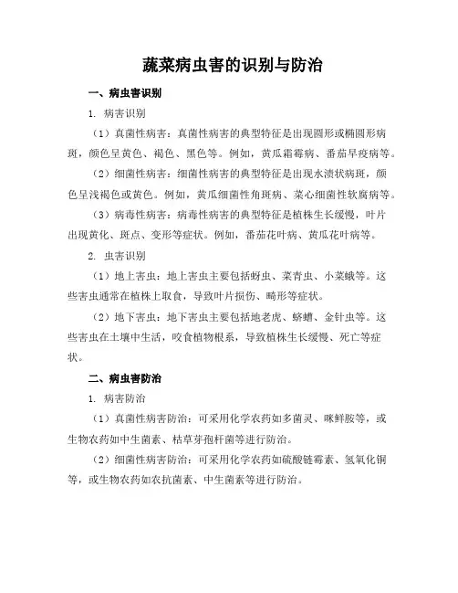 蔬菜病虫害的识别与防治