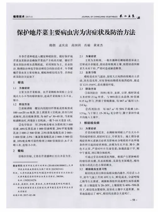 保护地芹菜主要病虫害为害症状及防治方法