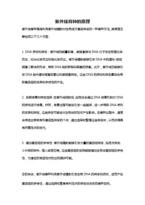 紫外线育种的原理