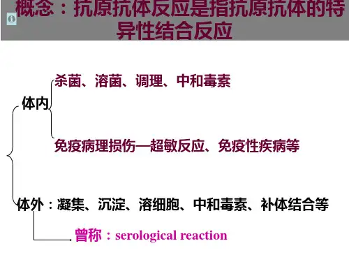 抗原抗体反应
