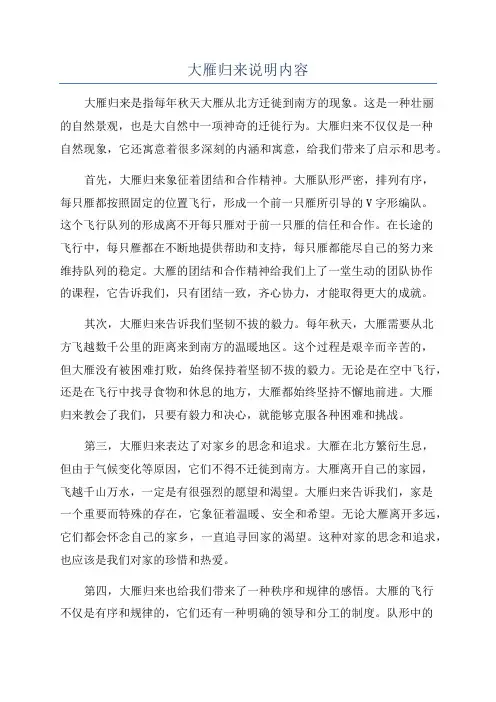 大雁归来说明内容