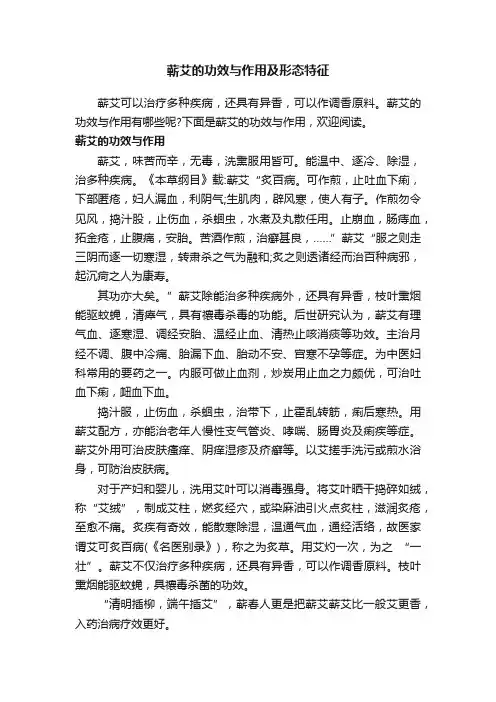 蕲艾的功效与作用及形态特征