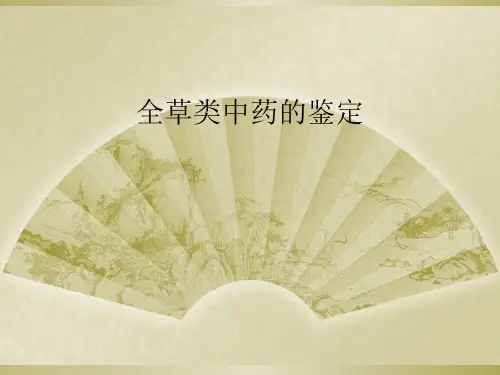 全草类中药的鉴定