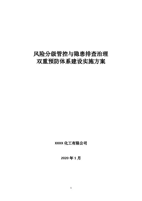 1-1-双体系实施方案2020