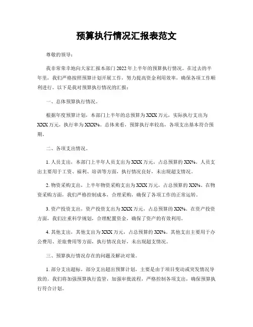 预算执行情况汇报表范文