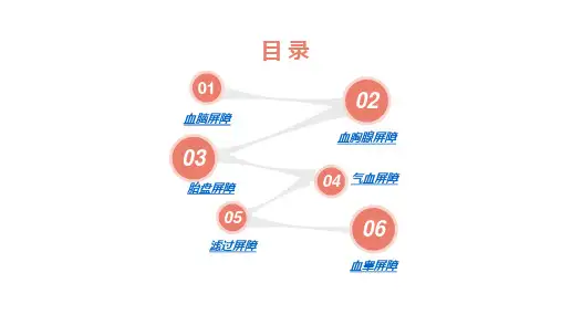 组胚人体六大屏障